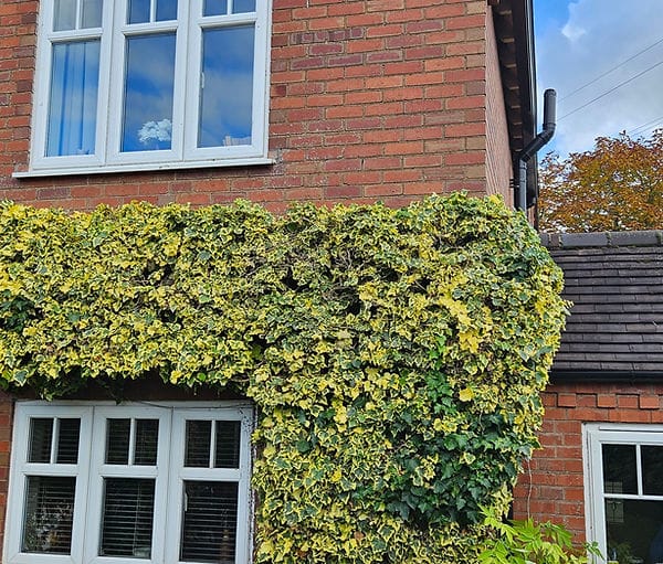 New fence installation Worcester