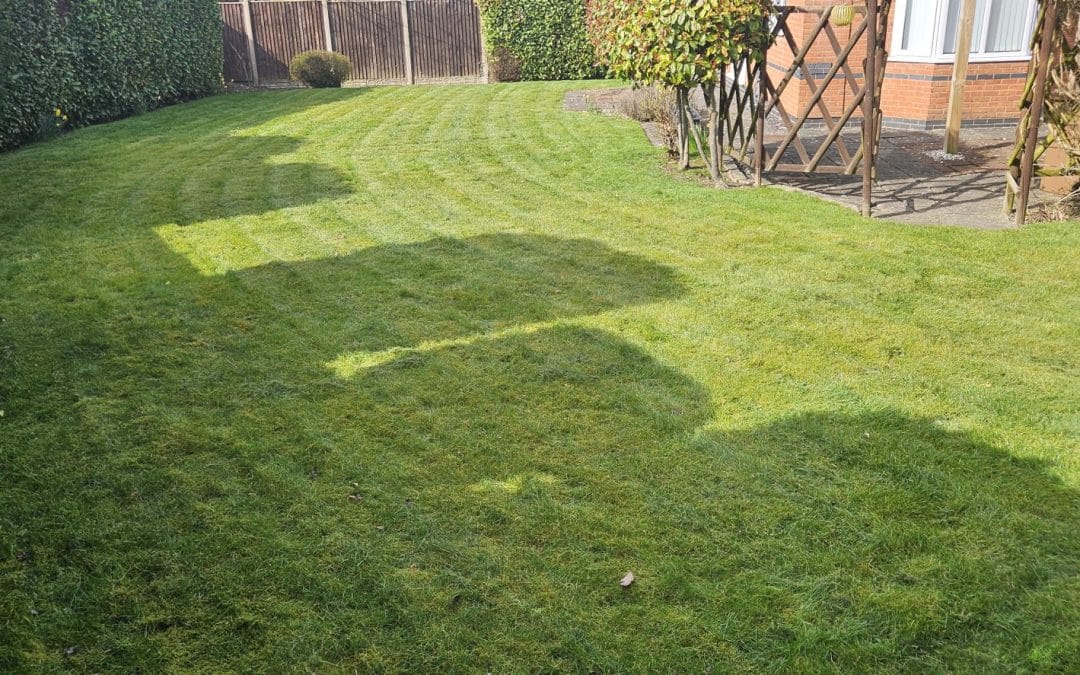 Commercial grounds maintenance Worcester