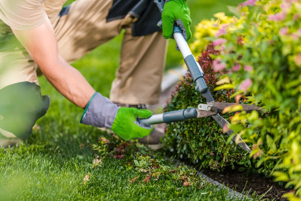 Professional garden maintenance Worcester